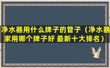 净水器用什么牌子的管子（净水器家用哪个牌子好 最新十大排名）